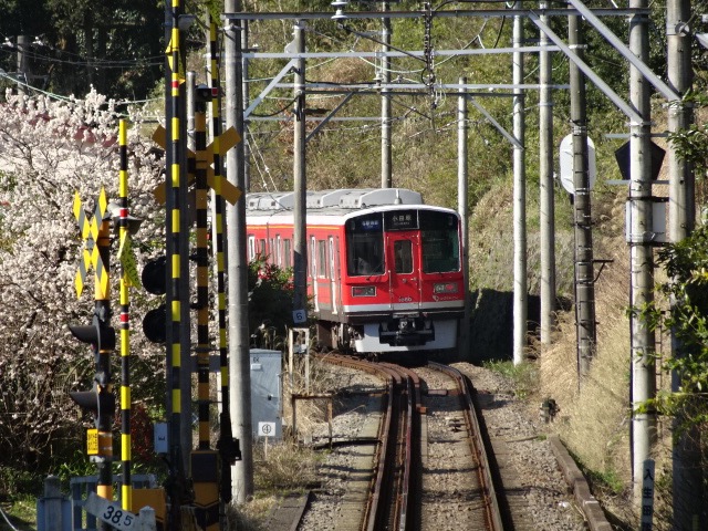 DSC00607