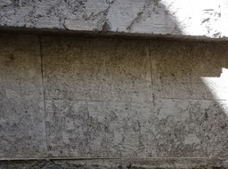 DSC00719