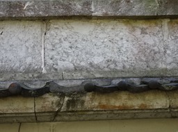 DSC00724
