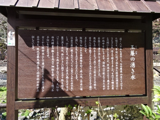 DSC00775