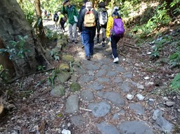 DSC00800