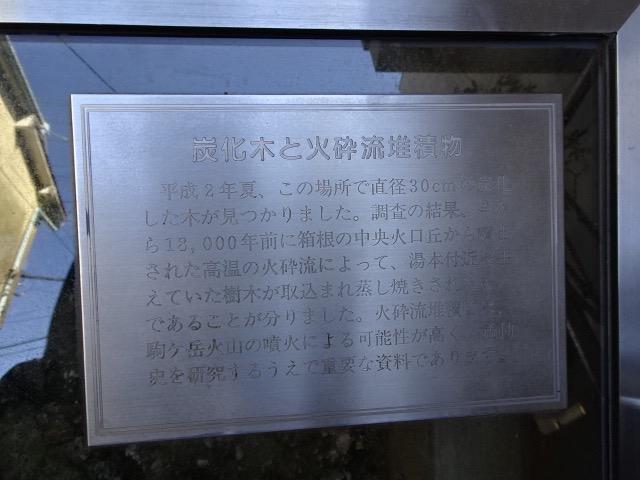DSC00807