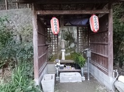 DSC00832