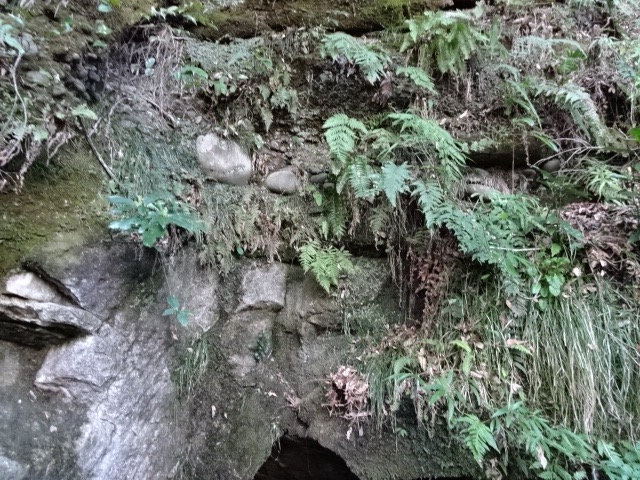 DSC00846