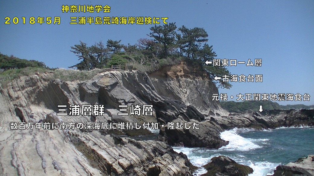 荒崎