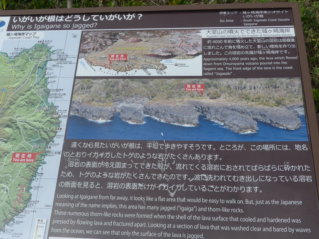 P1080551.JPG