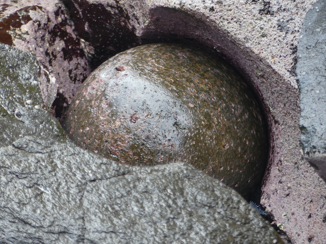 P1080568.JPG