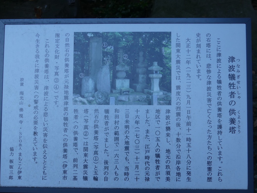 P1080649.JPG
